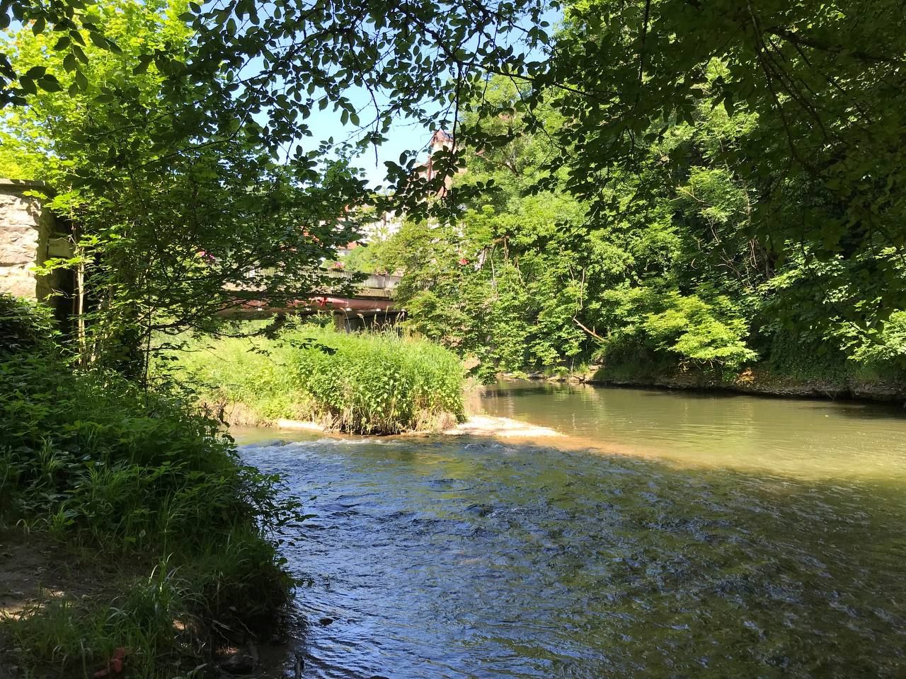 Die Eyach im Tal, umgeben von Grün